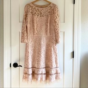 Tadashi Shoji Pink Lace Fit and Flare Midi Dress 14
